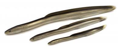 Aal-Imitation 32 g - 26,5 cm - lose per Stück 