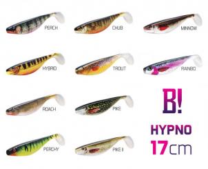 BOMB Gummifisch "Hypno" Shad 17 cm Rainbo