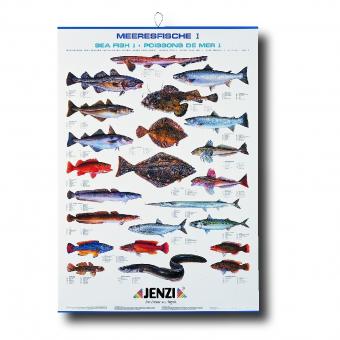 Fischtafel Meeresfische - Fischkarte 